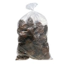 daiktų Maritima kūgiai 14/18 naturalūs 25 vnt