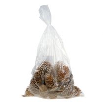 daiktų Maritima vafliniai kūgiai su grietinėlės ir vanilės skoniu, 5-18 cm, 25 vnt.