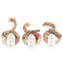 daiktų Jūrinės dekoratyvinės kriauklės tinklelyje, spalvingos, 3,5-6 cm, 300 g × 3 vnt.