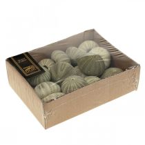 daiktų Jūrinė dekoracija, jūros ežio formos, žalia, vasarinė dekoracija, Ø5-6cm, 15 vnt.