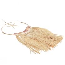 daiktų Jūrinė sienų apdaila su tikromis jūrų žvaigždėmis Ø26,5cm H65cm