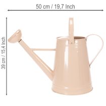 daiktų Metalinė dekoratyvinė laistytuvė, smėlio spalvos vintažinio dizaino, augalams ir džiovintoms gėlėms, 50 × 22,5 × 39 cm