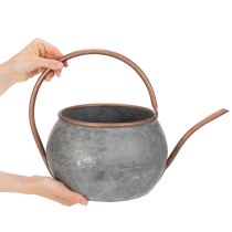 daiktų Metalinis dekoratyvinis laistytuvas, vintažinio kaimiško stiliaus, sodo puošmena, sodinimui, sidabro vario spalvos, ilgis 41 cm, Ø 26 cm, aukštis 30 cm