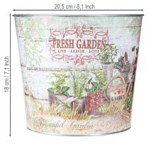 daiktų Metalinis augalų vazonas Fresh Garden Spalvingas vintažas H18cm