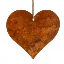 daiktų Metalinės širdelės, dekoratyviniai pakabukai, rūdžių apdaila 19×20 cm 4vnt