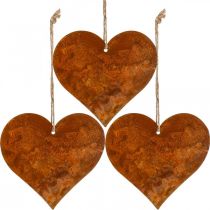 daiktų Širdelės pakabinti rudeninės metalinės dekoracijos patina 9,5×10cm 12vnt