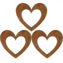 Širdies rūdžių sodo puošmena metalinė širdelė 10cm 12vnt