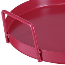 daiktų Universalus padėklas, praktiškas daiktų laikymo būdas valgomajame ir terasoje, 22 cm