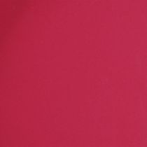 daiktų Universalus padėklas, praktiškas daiktų laikymo būdas valgomajame ir terasoje, 22 cm