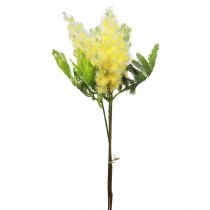 Dirbtinis augalas sidabrinė akacija mimoza geltonai žydinti 53cm 3vnt