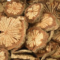 daiktų Mini mediniai diskai betelio riešutų dekoravimui su grūdeliais 1-4,5 cm 300 g