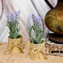 Mini levandos vazonėlyje Dirbtiniai augalai Dirbtinė levandų dekoracija