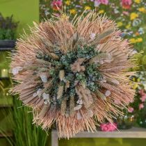 daiktų Mini delninis ietis, sausa floristika, Advento puošmena, atminimo dienos natūralus L33-34cm P7-9cm 4 vnt.