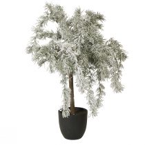 daiktų Mini Kalėdų eglutė, vazoninė kedro sniego dirbtinė 60 cm