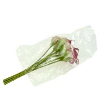 daiktų Mini kalla dirbtinė 28cm Erika, kreminė 12 vnt