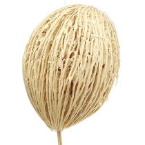daiktų Mintolla kamuoliukas balintas 8cm - 10cm L46cm 6 vnt
