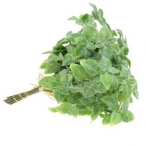 daiktų Mėtų dirbtinė žalia 25cm 12 vnt