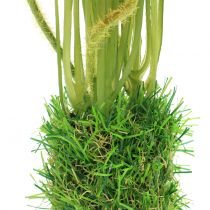daiktų Aguonų raudona žolėje 23cm