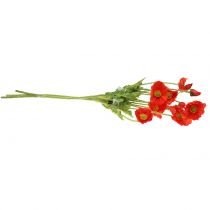 daiktų Aguonos apelsinas 60cm 3vnt