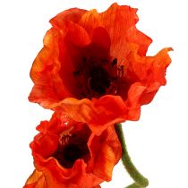 daiktų Aguonos dirbtinės gėlės oranžinės 58cm–74cm 3vnt