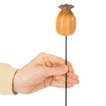 daiktų Sodo kuolo aguonų ankštis - dekoratyvinis akcentas sodo dekoravimui ir „pasidaryk pats“ projektams - 41 cm, 4 vnt. -