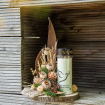 Aguonų kapsulė dideli džiovinti žiedai geltoni papaver deco aguonos 5vnt