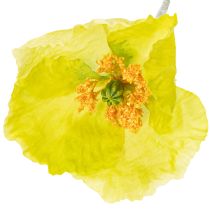daiktų Dirbtinių aguonų dekoracija svetainėms ir biurams, 95 cm