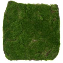 daiktų Samanų kilimėlis žalias 35cm x 35cm