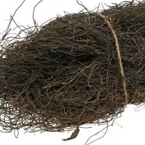 daiktų Mühlenbeckia vynmedžių medžiaga apie 1kg prigimties
