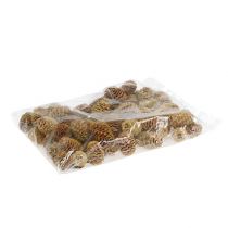 daiktų Sabulosum spurgų kremas 500g