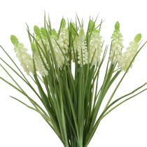 Vynuogių hiacintai kekėje balti 30cm 15 vnt