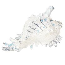 daiktų Jūros sraigės lukšto apdaila dirbtinė mėlyna-balta 11,5/13 cm 2 vnt.