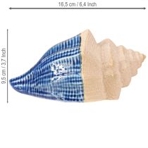 daiktų Shell Decoration Maritime Ceramic Blue Beige 16,5×11×9,5cm 2 vnt.