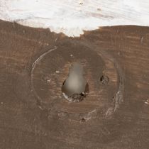 daiktų Dekoratyvinis sraigės formos indas jūriniam ir natūraliam sienų dizainui, pilkas, 21 cm