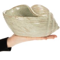 daiktų Keraminis dubuo su kriauklės raštu elegantiškam svetainės dekoravimui, 23 cm