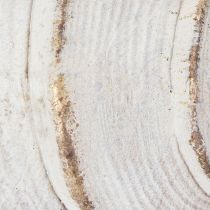daiktų Dekoratyvinė kriauklės forma stilingai jūrinei dekoracijai, 44 cm