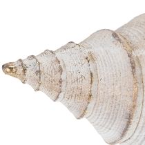 daiktų Dekoratyvinė kriauklės forma stilingai jūrinei dekoracijai, 44 cm