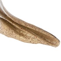 daiktų Dekoratyvinė kriauklės forma stilingai jūrinei dekoracijai, 44 cm