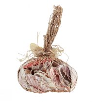 daiktų Kriauklių dekoravimas tikros įvairių rūšių kriauklės 300g