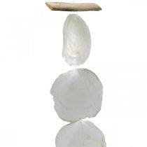 Shell Girland Mother of Pearl Shell Girland Capiz 195cm