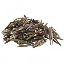 daiktų Dekoratyvinės kriauklės Ežių spygliai, jūros ežių spygliai, jūrinė dekoracija L3-8cm 450g