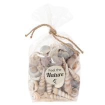 daiktų Kriauklės ir sraigės. Natūralūs jūriniai dekoratyviniai elementai stilingam interjero dizainui, 500 g.