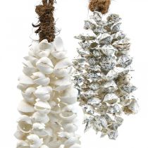 Shells shell karoliai shell pakabukas deco maritime 2vnt