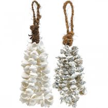 Shells shell karoliai shell pakabukas deco maritime 2vnt