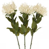 daiktų Smeigtuko pagalvėlė dirbtinės gėlės egzotiškos Protea Leucospermum kremas 73cm 3vnt.