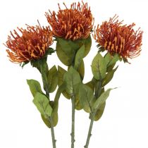 daiktų Pincushion Egzotinė dirbtinė gėlė apelsinas Leucospermum Protea 73cm 3vnt.