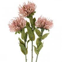 Rudens gėlių segtukas dirbtinis Protea Rosa Leucospermum 73cm 3vnt.