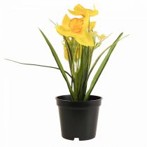 Narcizas vazone Narcizas geltona dirbtinė gėlė H21cm