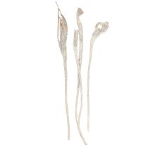 daiktų Natraj Antler Wood Mix White Washed 10 vnt