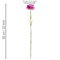 daiktų Dirbtiniai gvazdikai, dvispalviai, ilgas kotas 56 cm, 8 vnt. kekė.